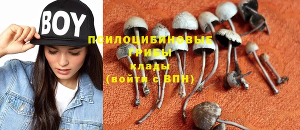 дурь Алзамай